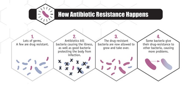 anti-biotic-resistance